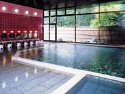 Kinugawa Royal Hotel Нико Екстериор снимка